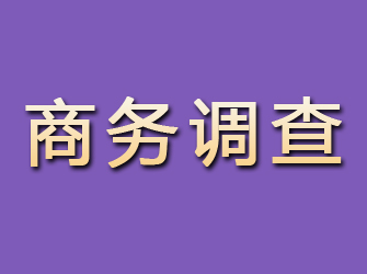 瓯海商务调查